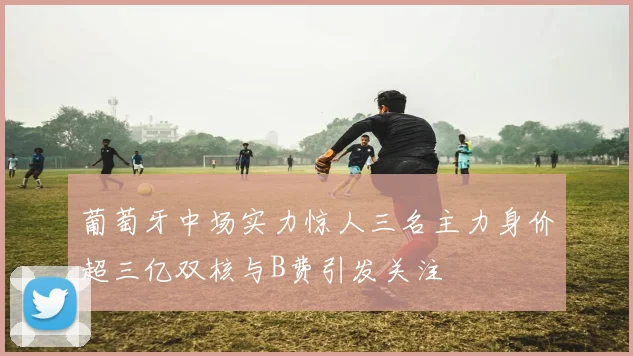 葡萄牙中场实力惊人三名主力身价超三亿双核与B费引发关注
