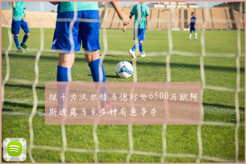 纽卡为沃尔特马德标价6500万欧阿斯透露马竞多特有意争夺